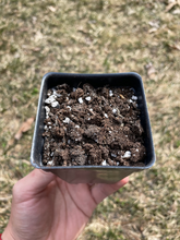 Load image into Gallery viewer, Planting soil - April Farm/Rare Succulents