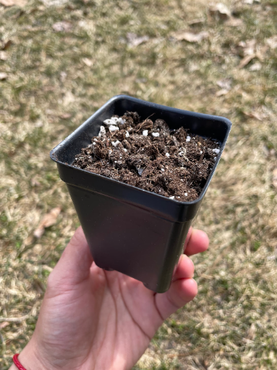 Planting soil - April Farm/Rare Succulents